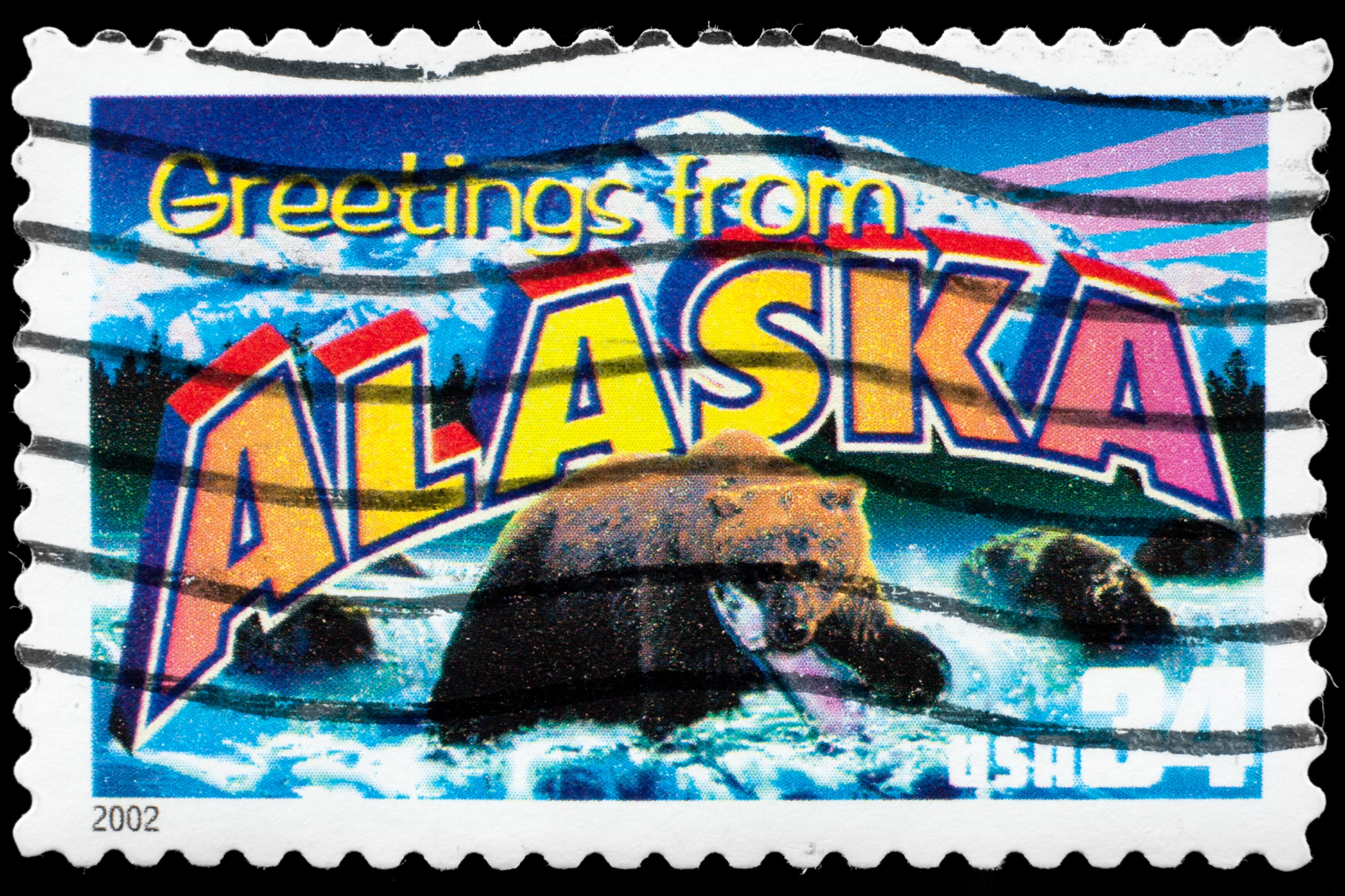 10 Unique Alaska Souvenirs to Buy as Gifts