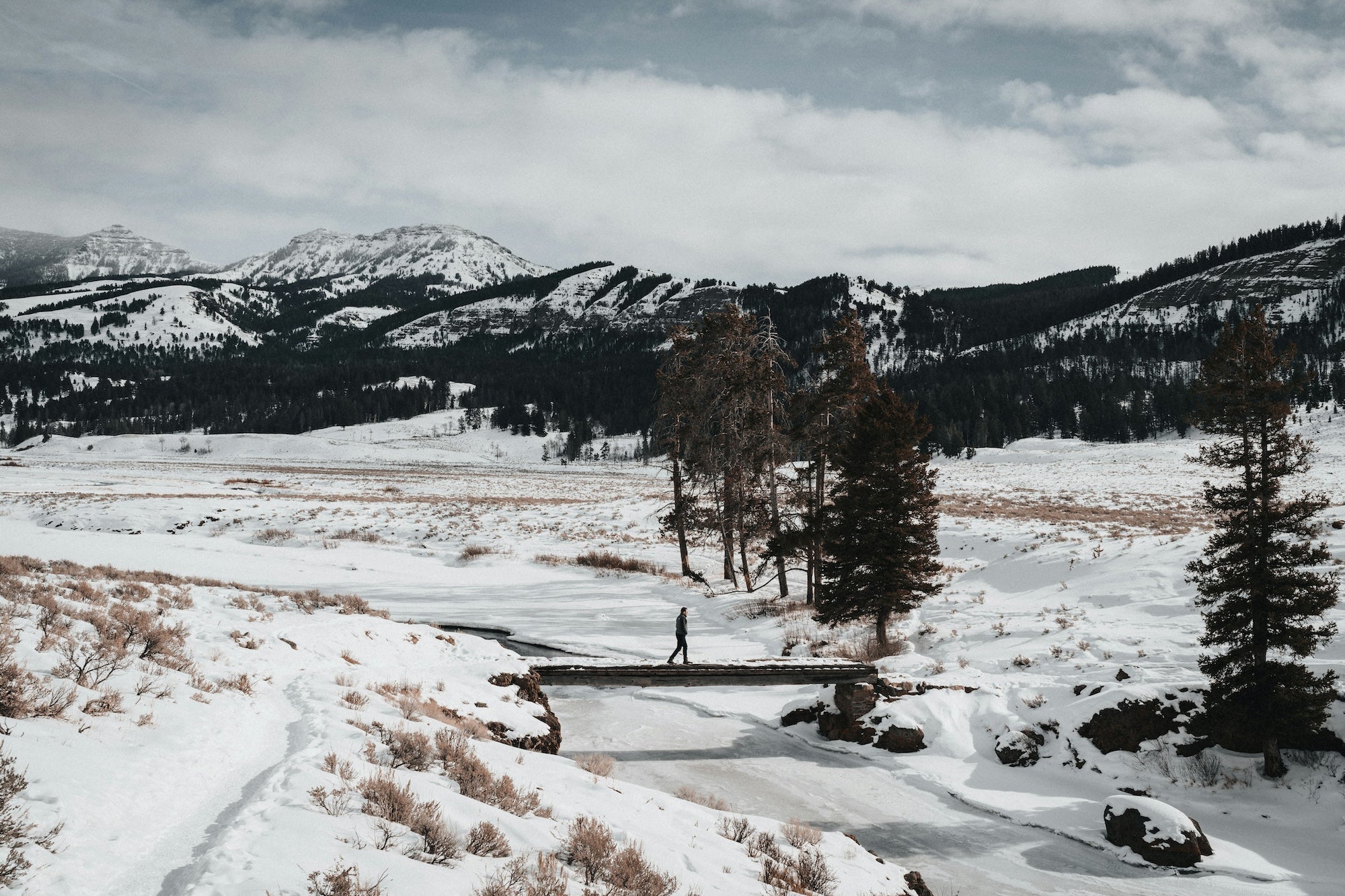 Yellowstone National Park in the Winter